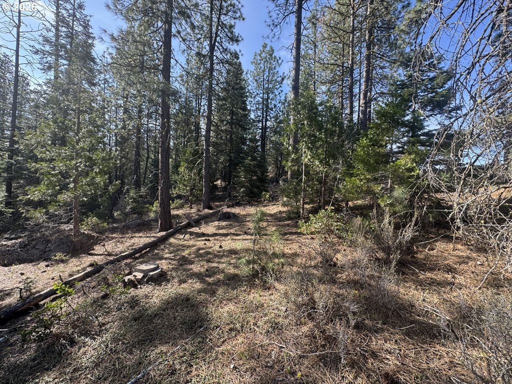 Cardinal Drive 4, Bonanza