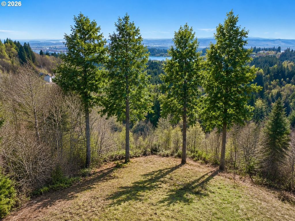 669 Sommerset Rd 36, Woodland