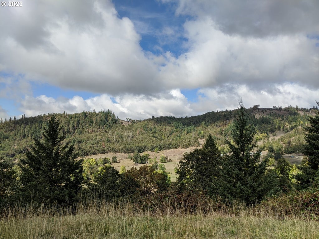 1105 Sunshine Rd, Roseburg