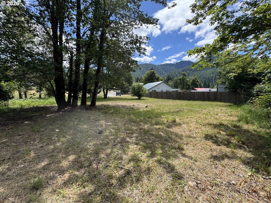 48471 Roaring Rapids Way, Oakridge