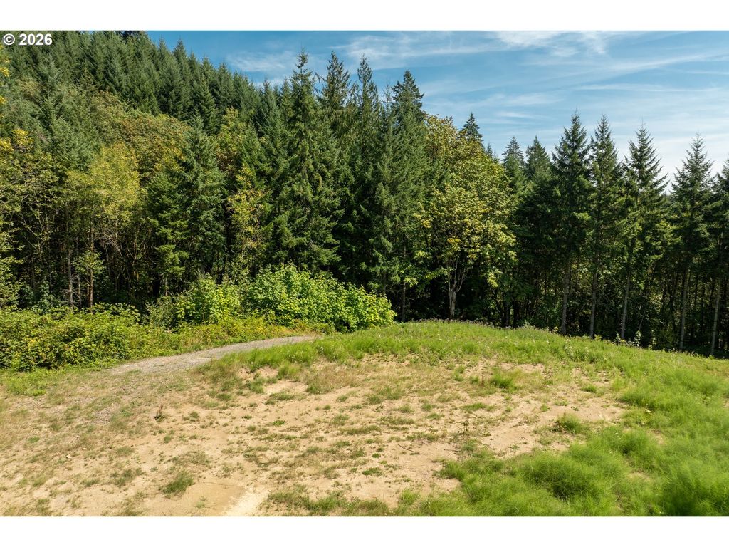 239 Junco Ln, Woodland