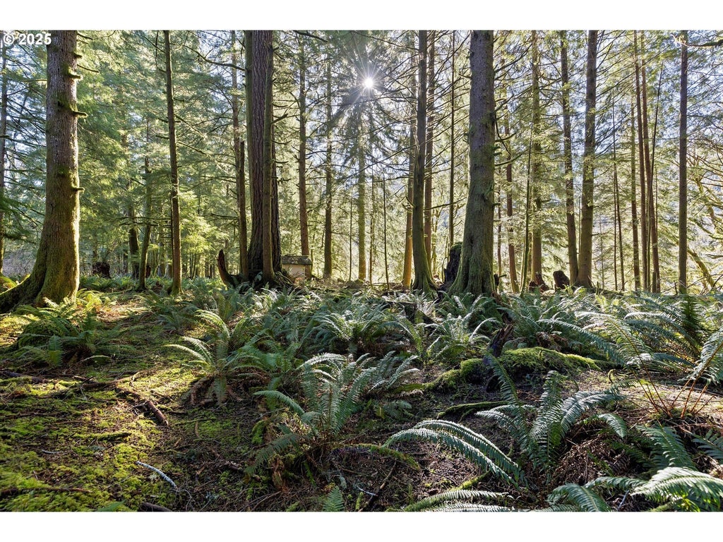 N Stockton Rd Tl 2700, Otis