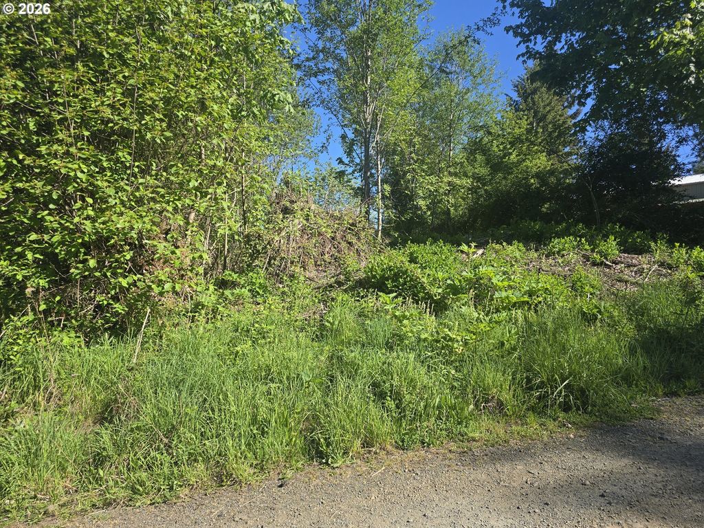 Bear Rd, Seaside