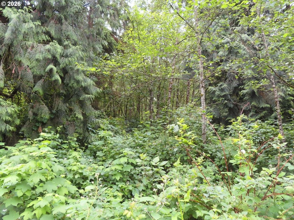 Sylvan Way, Longview