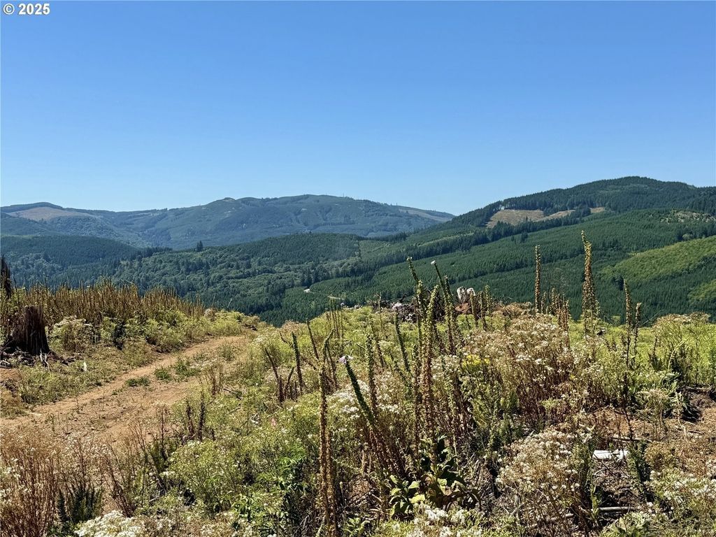 3700 Little Kalama River Rd 6, Woodland