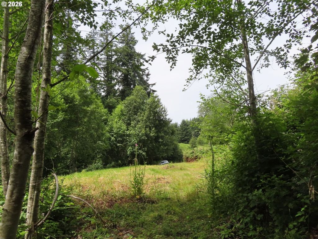Coleman Rd, Mossyrock