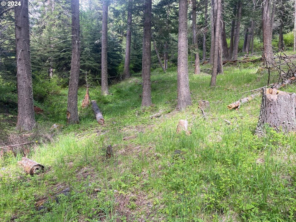 Tram Ln, Wallowa Lake