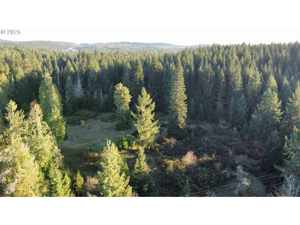 Hard Cash Ln, Camas Valley