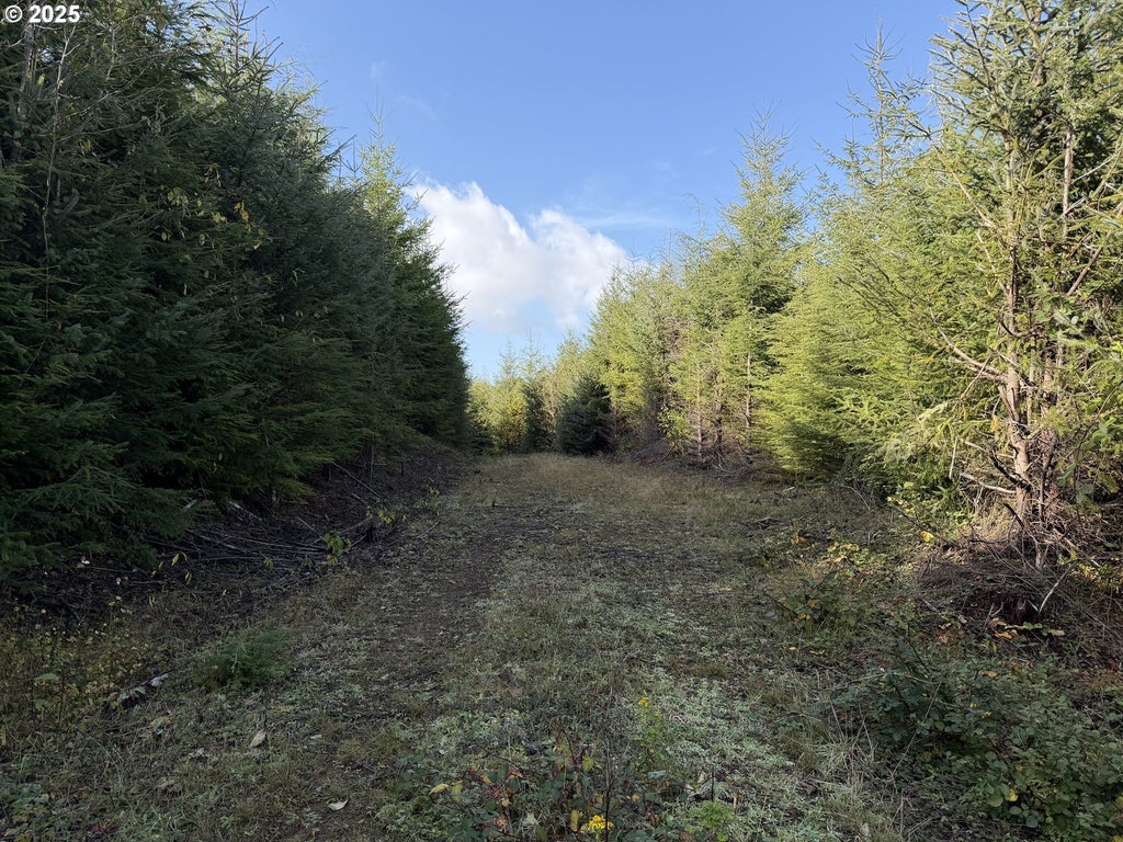 Necanicum Hwy, Seaside