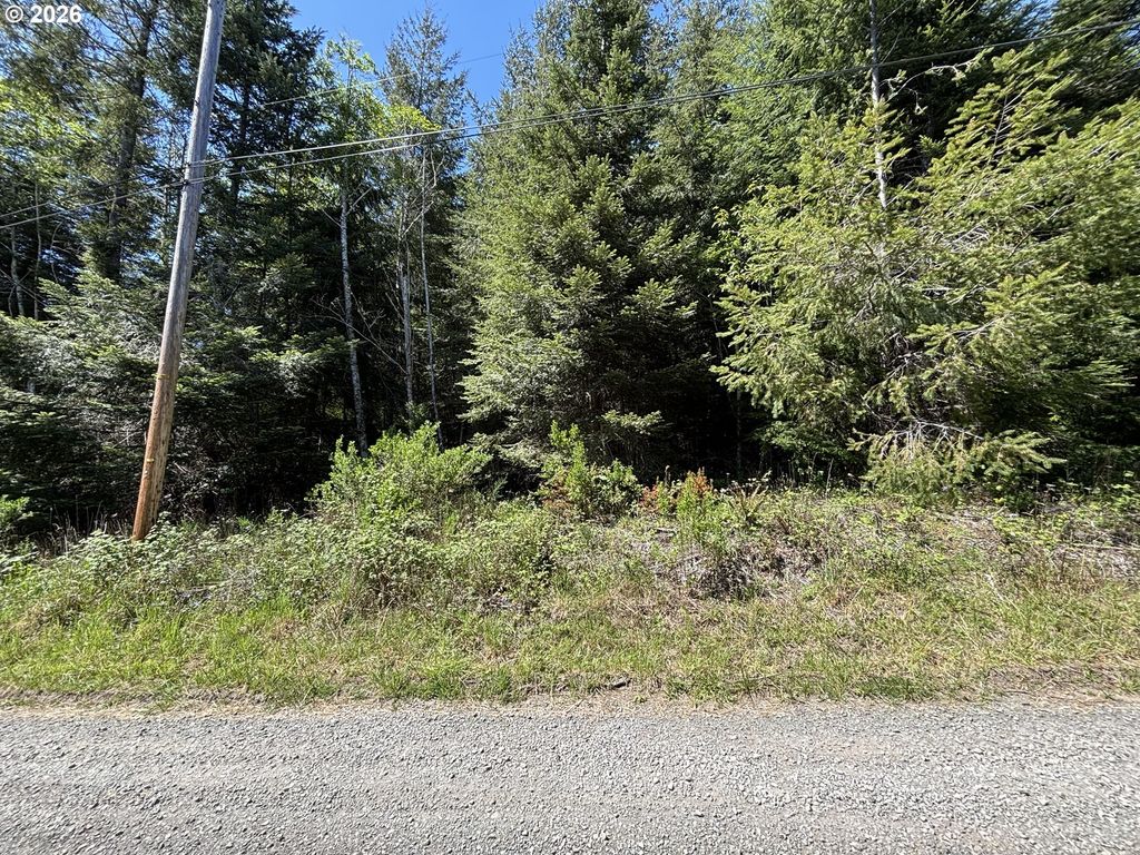 Timber Lane, Coos Bay