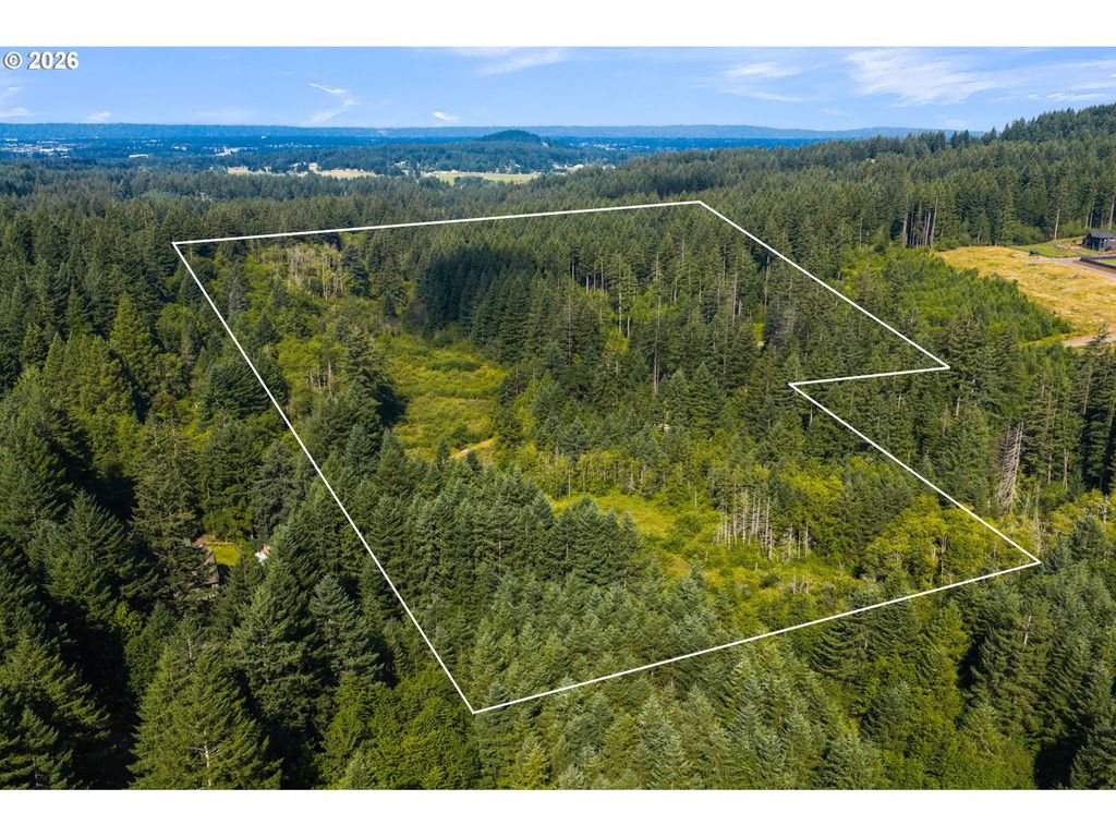 3832 Ne Cavitt Rd, Camas