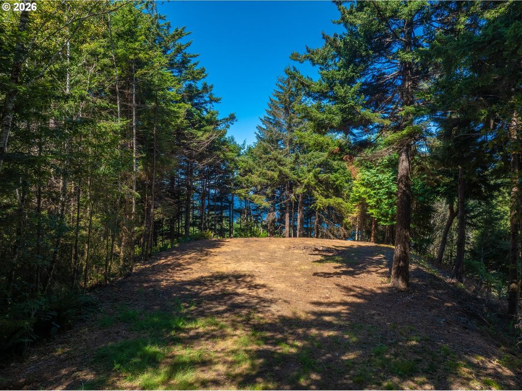 Starkweather Rd 101, Gold Beach