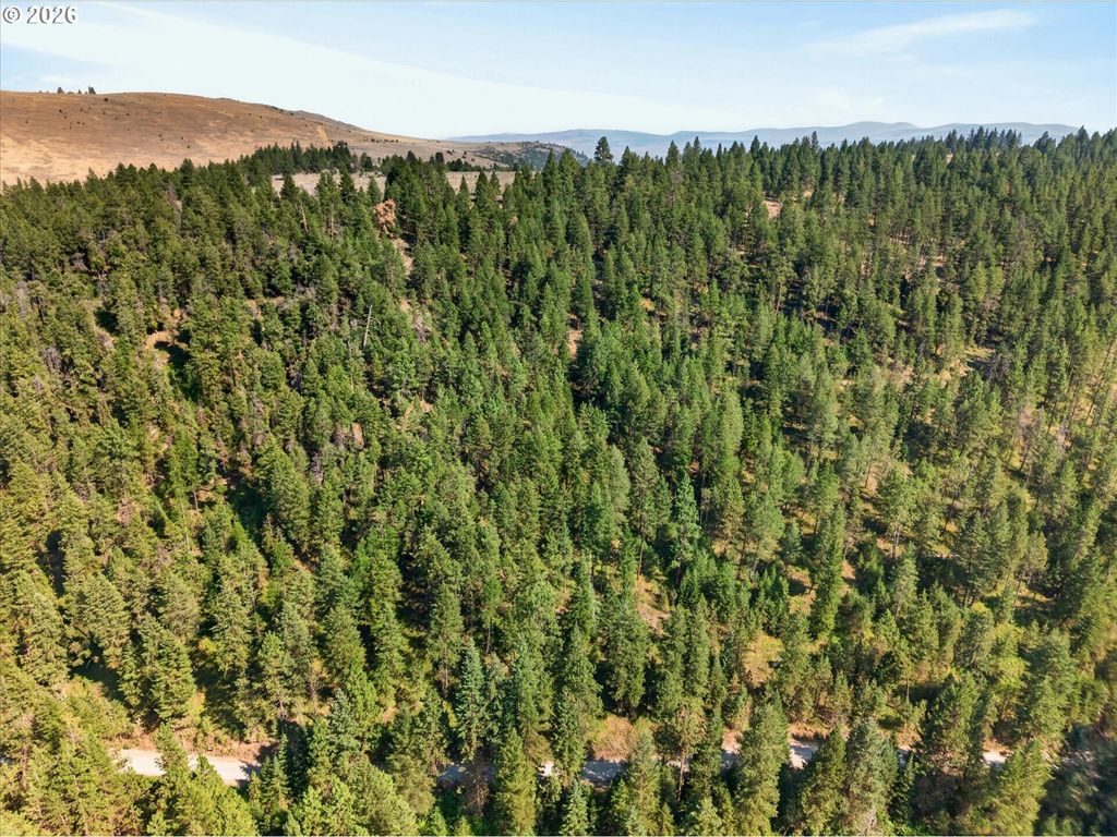 Washington Gulch 3300, Baker City