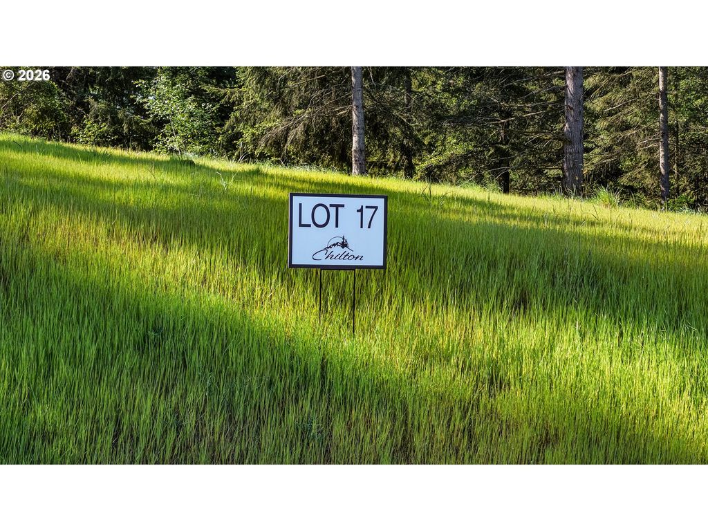 Carmen Sylvia Dr Lot 17, Kalama