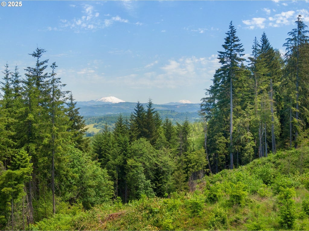 Meissner Rd, Deer Island