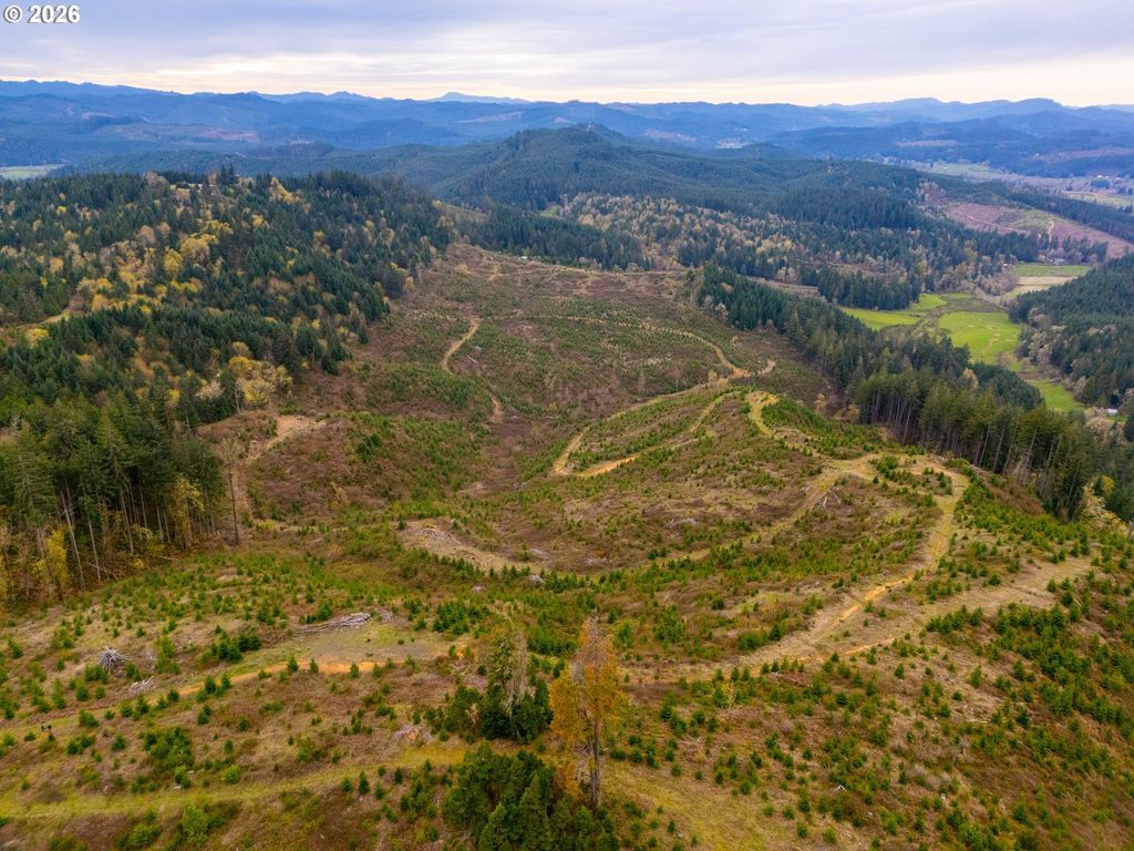 00 Erickson (tl300) Rd 300, Eugene
