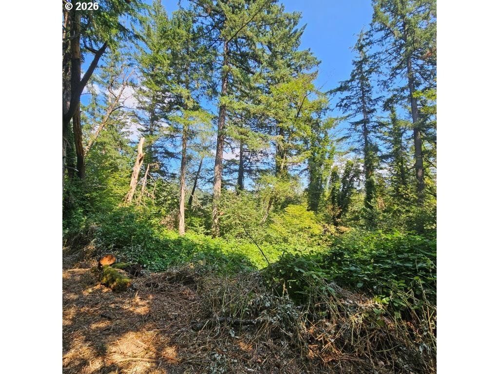 Washougal River Rd 104, Washougal