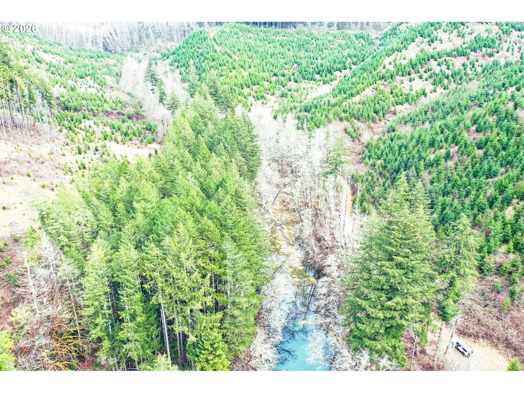 Marys Peak Rd Tl501, Blodgett