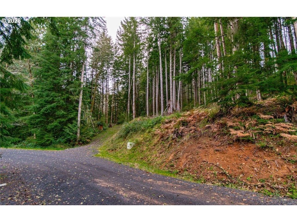1 Lot Bison Run, Longview