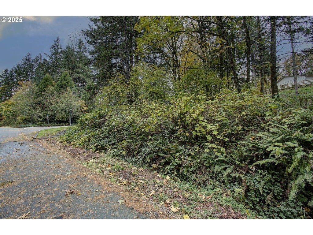 000 Se Crown Rd 50b, Washougal