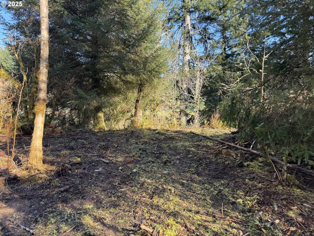 5 Hilltop Dr 1403, Lakeside