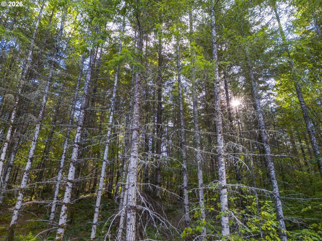 00 Meadow Lake Rd, Carlton
