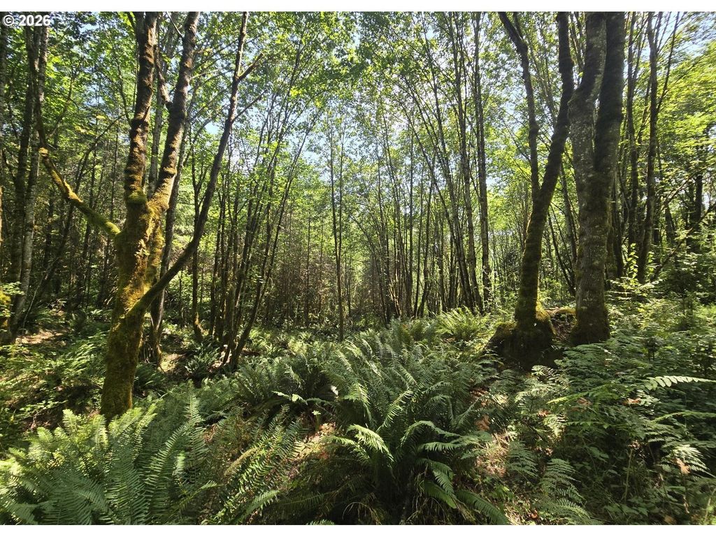 Tide Creek Rd, Rainier