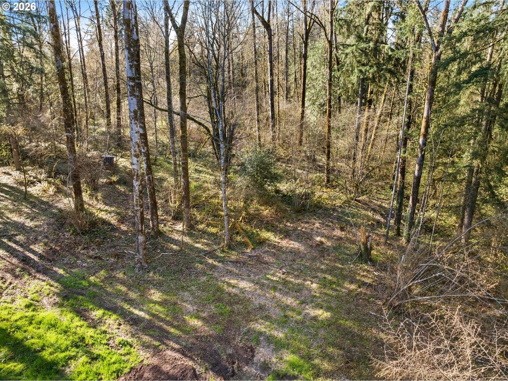 Ne Sumac Ct, Brush Prairie