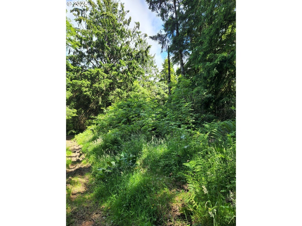 Ne Necarney St, Rockaway Beach