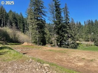 62 Wallace Creek Rd, Carson