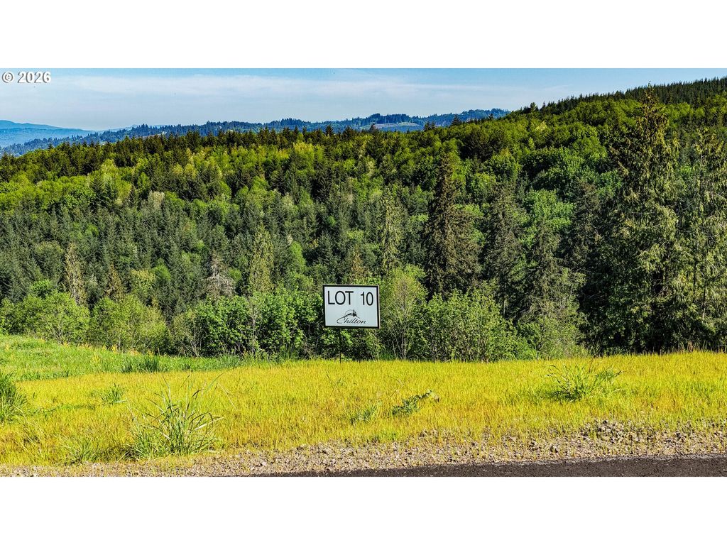 Carmen Sylvia Dr Lot 10, Kalama