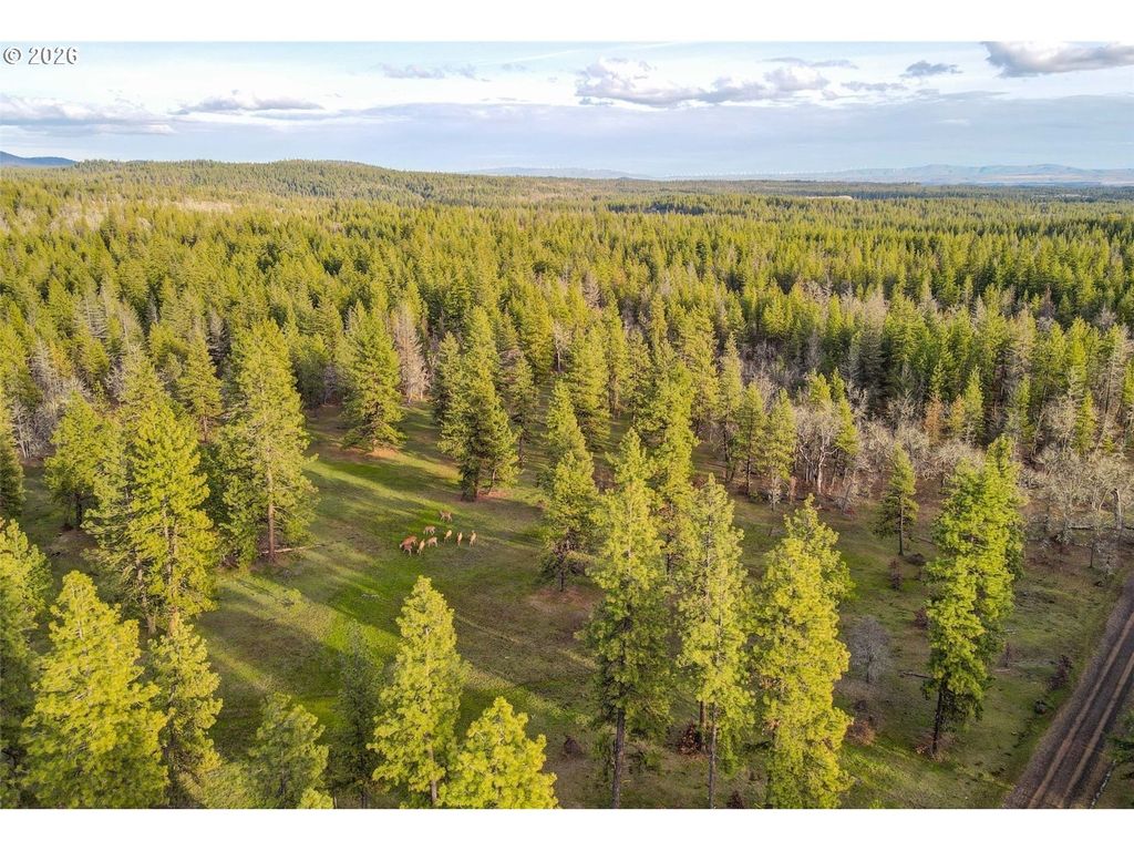 Lot 15 Greyback Mt Rd, Goldendale