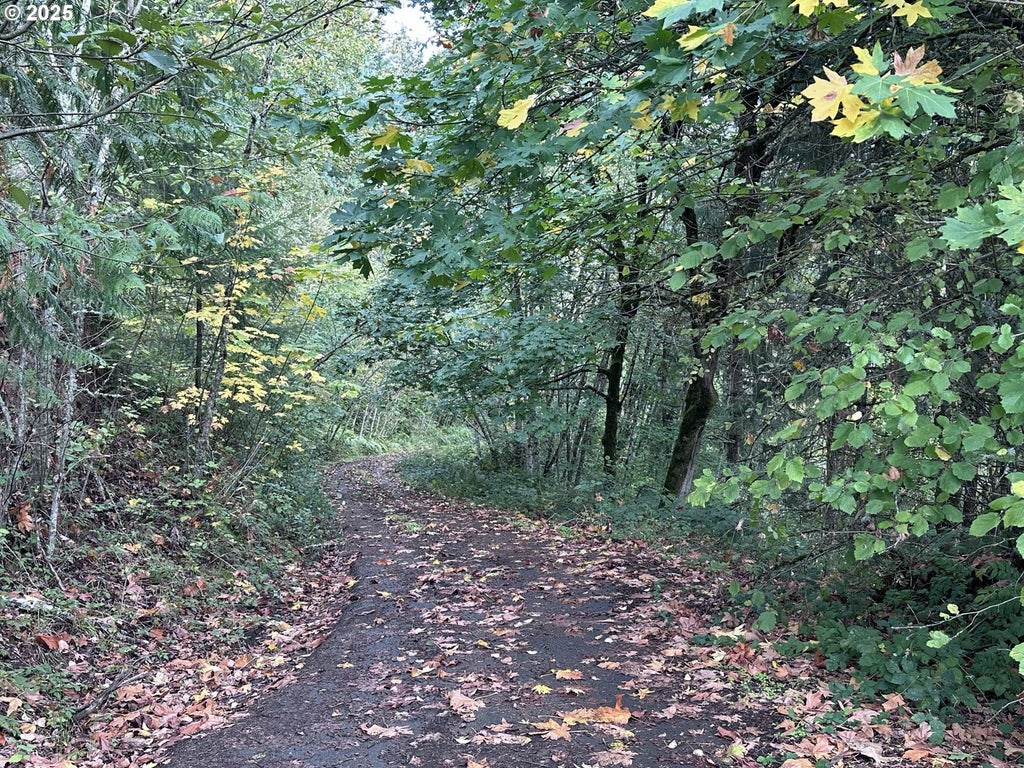 239 Columbia View Dr, Woodland