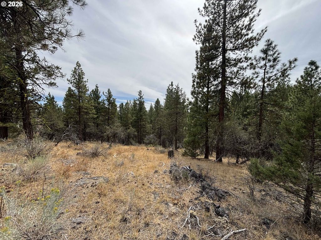 Wildhorse Dr, Bonanza