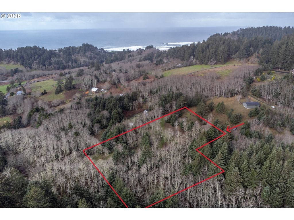 2600 Aleolian, Neskowin
