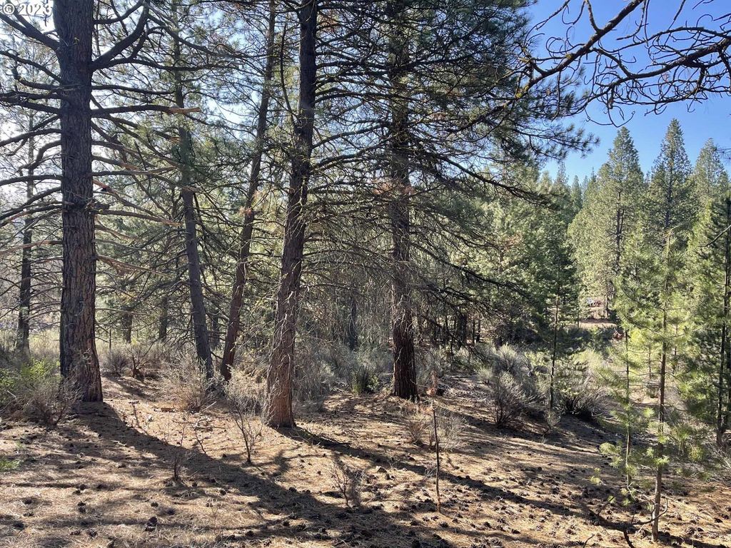 01000 Brook Trout Ln, Chiloquin
