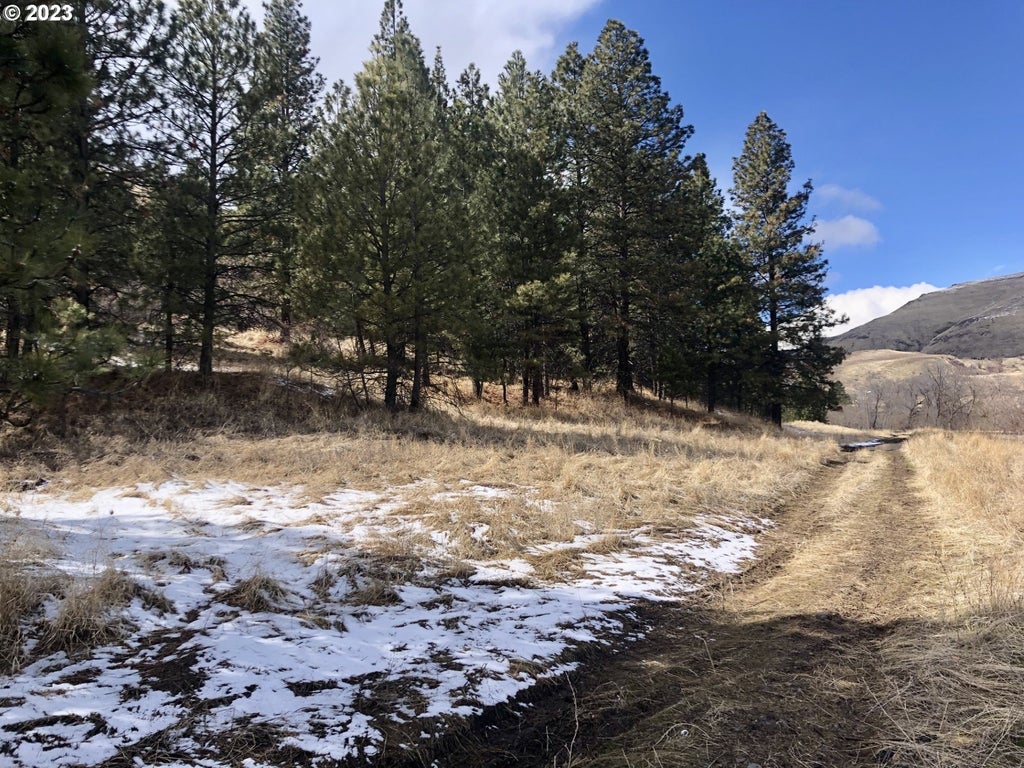 Umatilla Street, La Grande