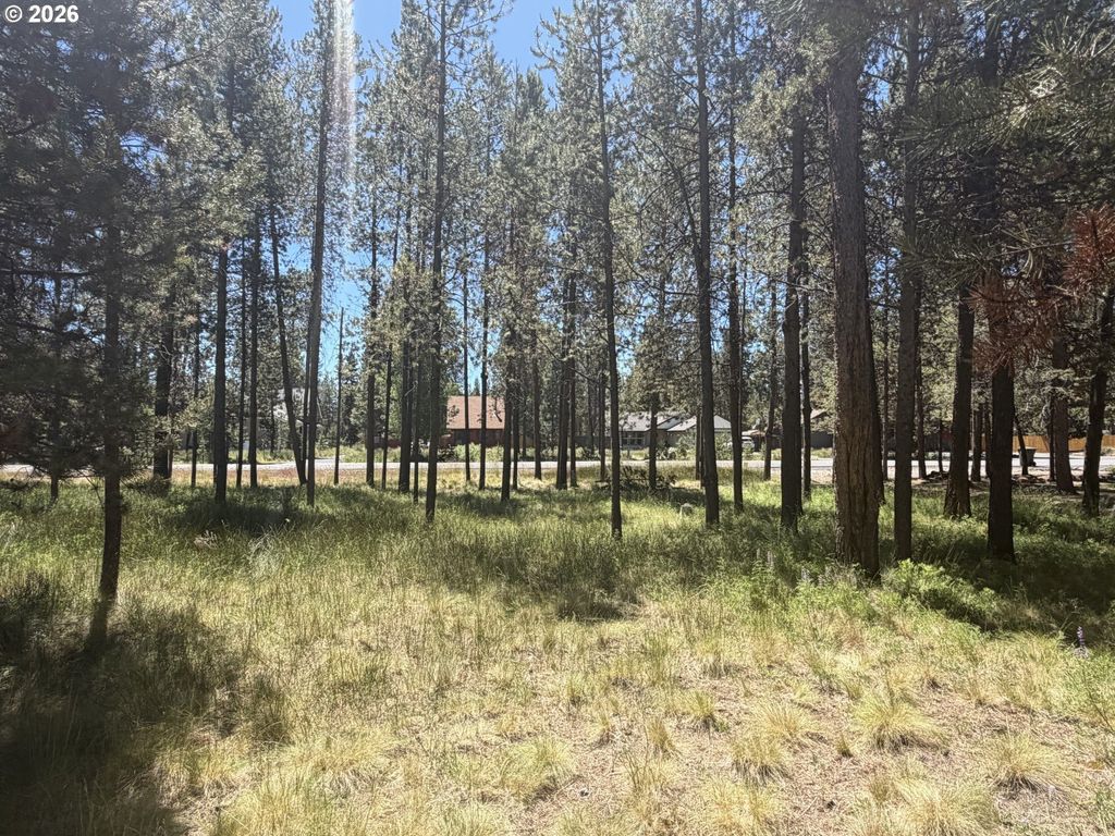 17386 Golden Eye Dr, Bend