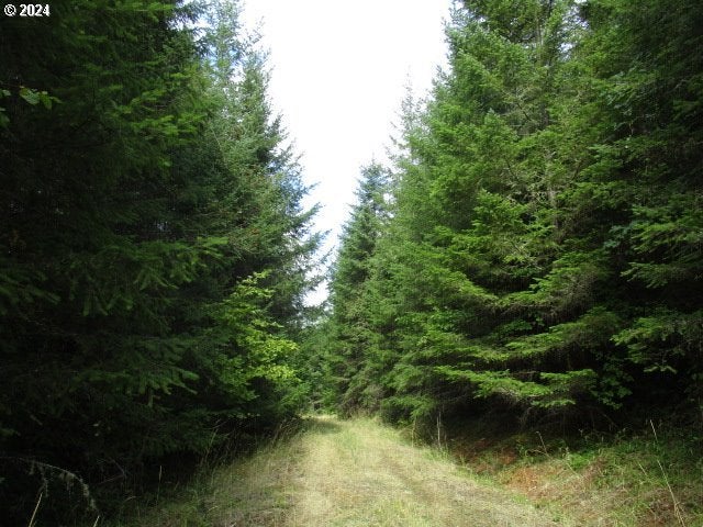 Bellinger Scale (1) Rd, Lebanon