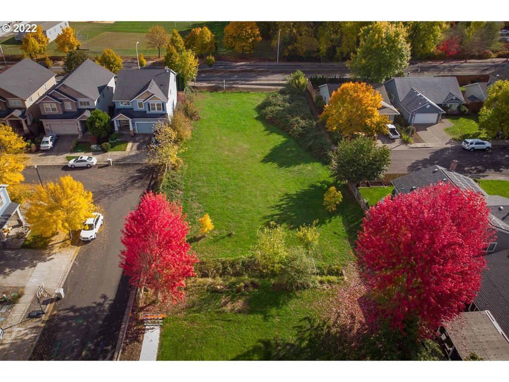 Waterleaf, Beaverton