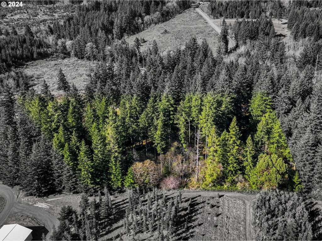 19860 Sharon Tony Way Se, Silverton