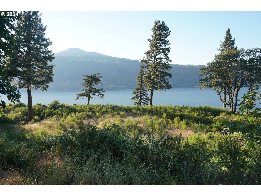 3850 Westcliff Dr, Hood River OR | Hood River Lots/Land Homes For Sale