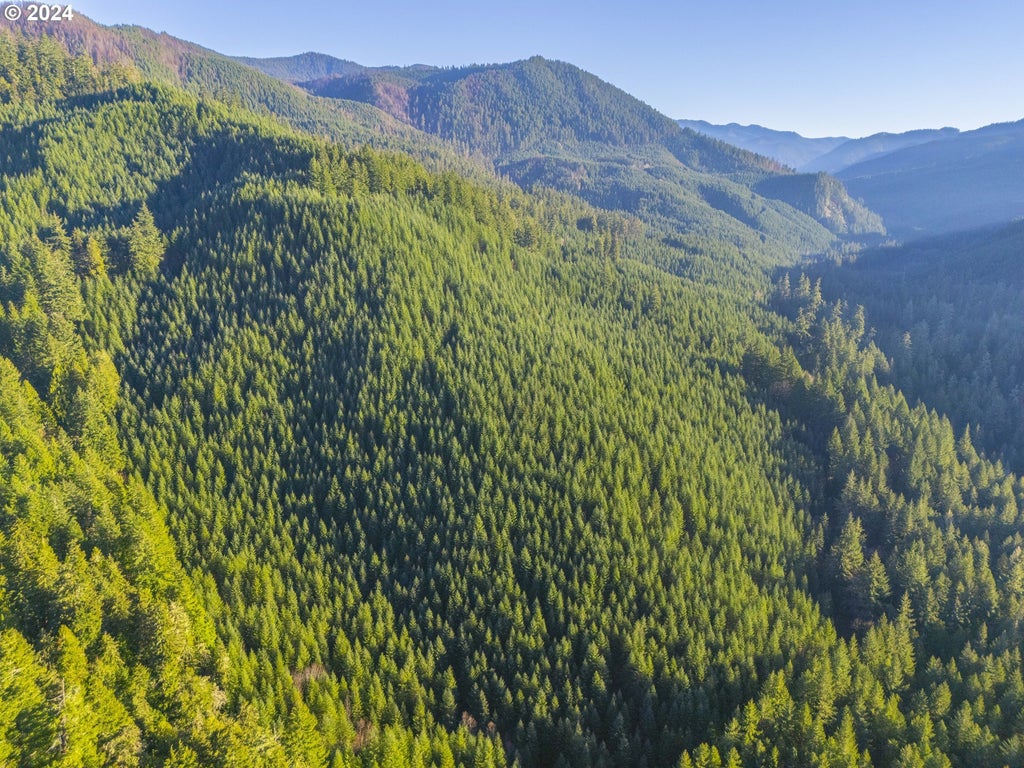 Sharps Creek Rd, Dorena