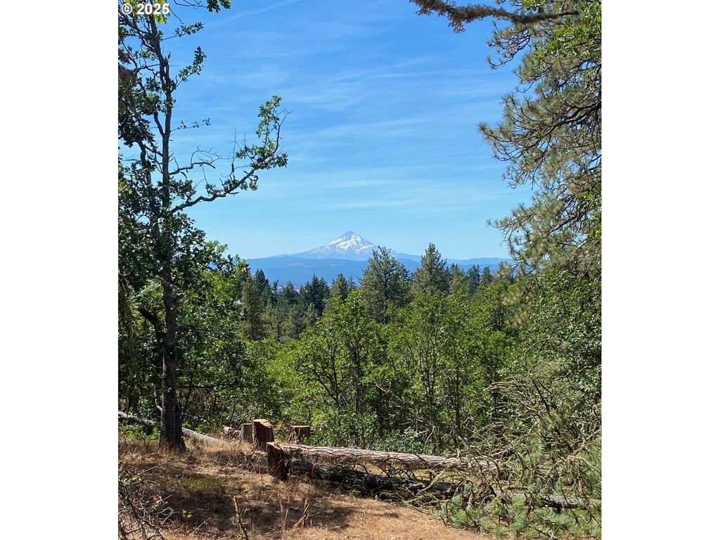 Secluded Way 4, Lyle