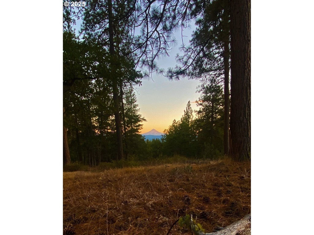 Secluded Way 3, Lyle