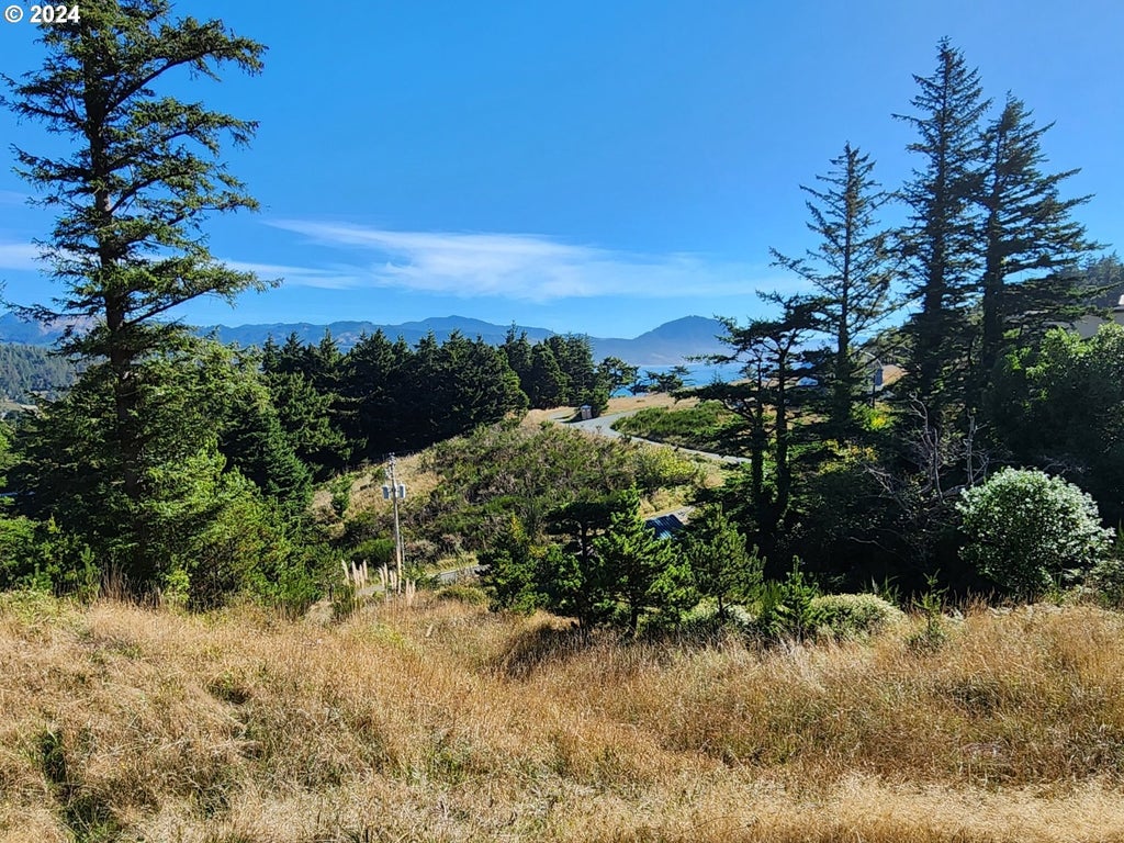 Boot Hill, Port Orford