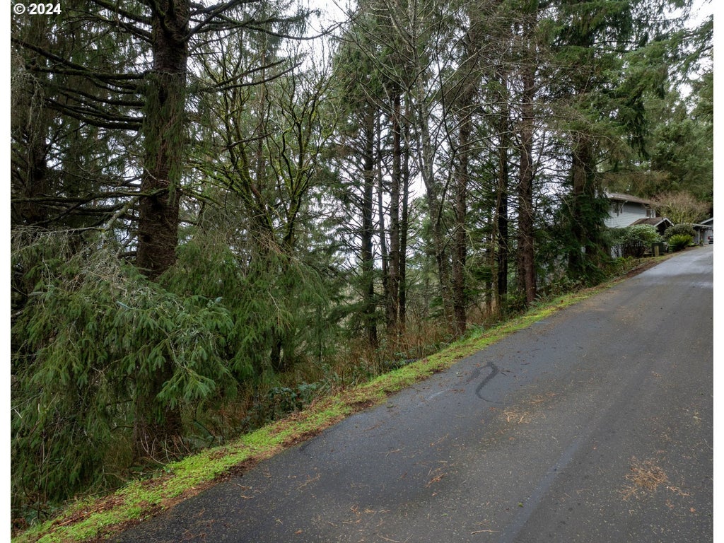 Vl Nehalem Point Dr., Nehalem Property Listing MLS® 24344300