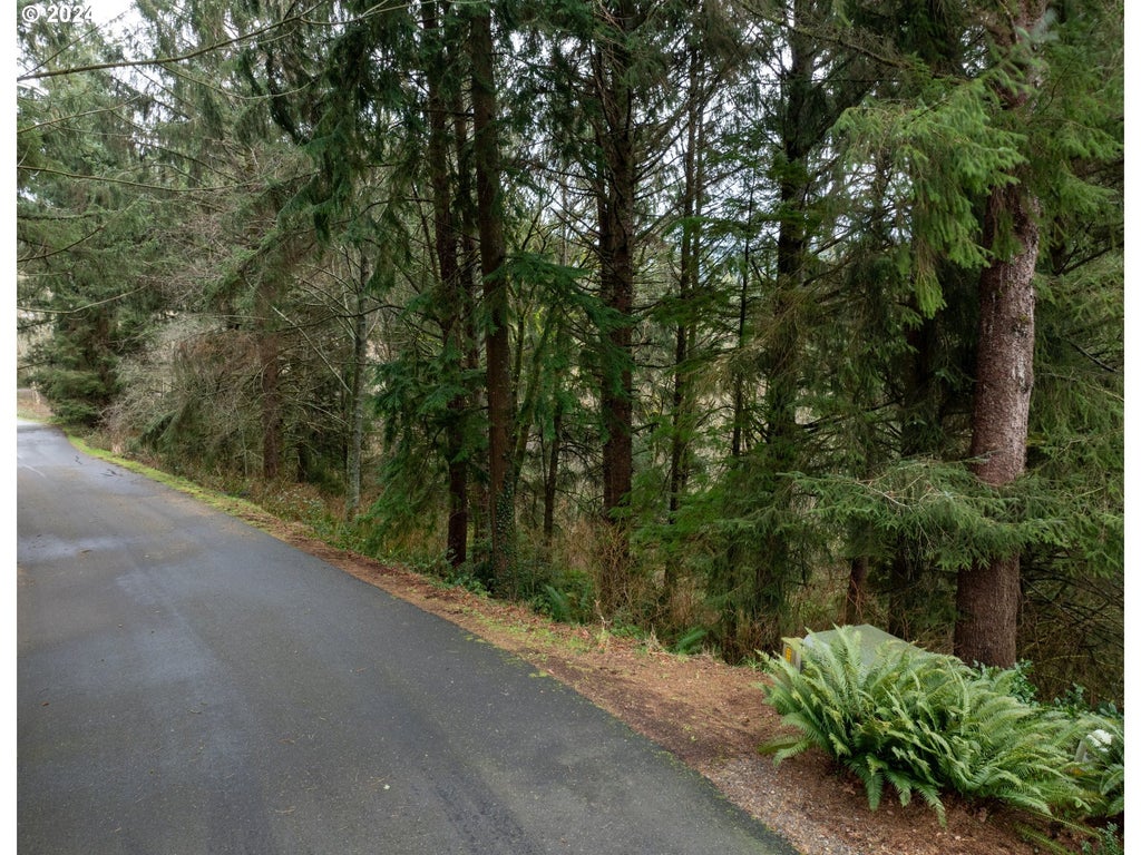Vl Nehalem Point Dr., Nehalem Property Listing MLS® 24344300