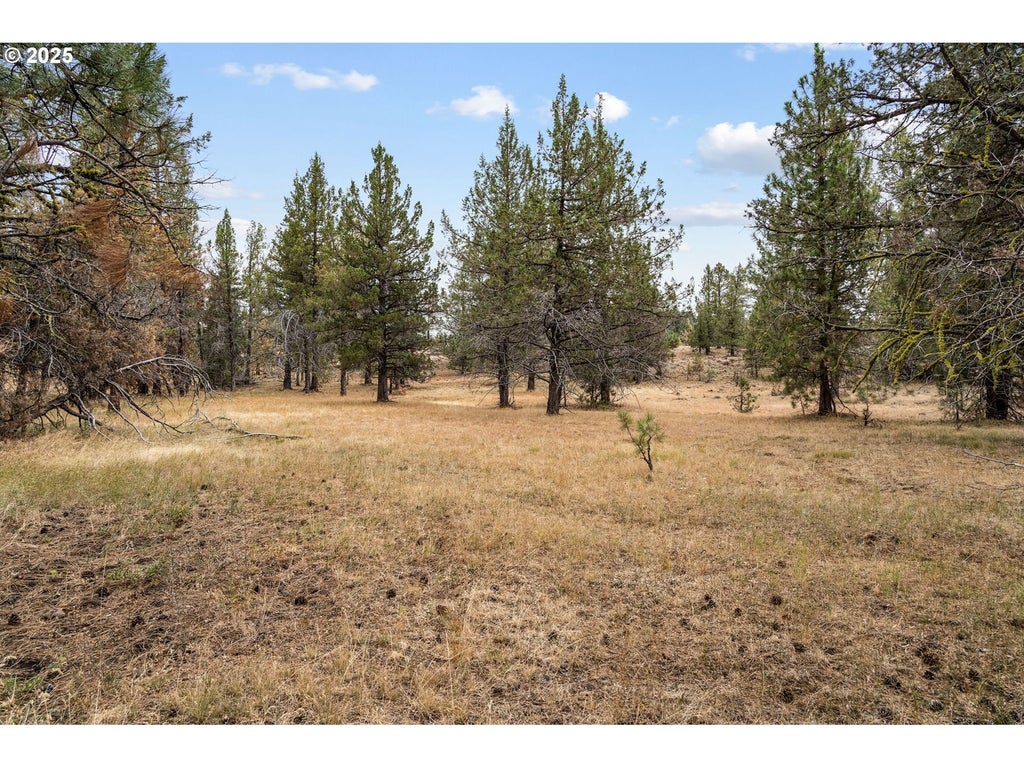 Wolf Creek Rd 42, Paulina