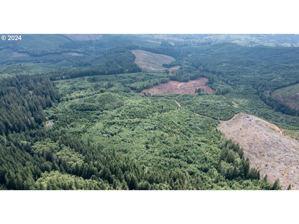 Saddle Mountain Rd, Seaside